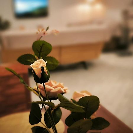 Litohome Litochoro The Gods Oasis Ngoại thất bức ảnh