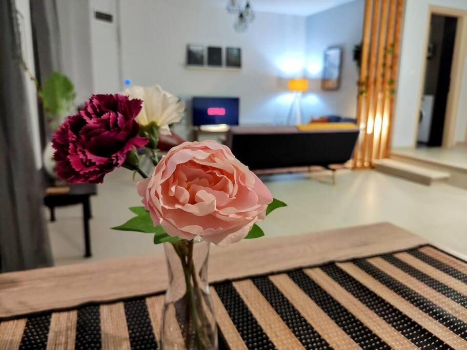 Litohome Litochoro The Gods Oasis Ngoại thất bức ảnh