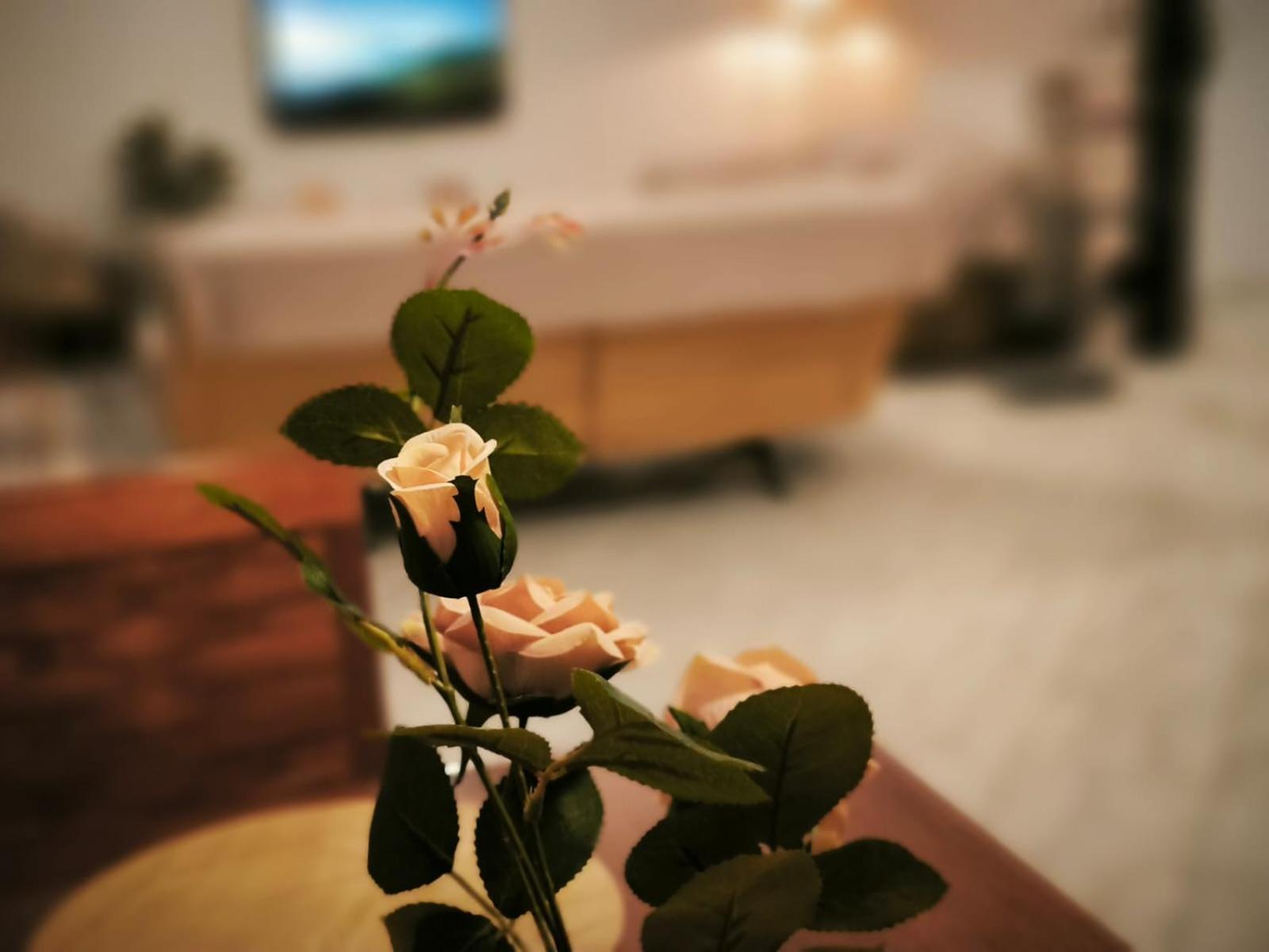 Litohome Litochoro The Gods Oasis Ngoại thất bức ảnh